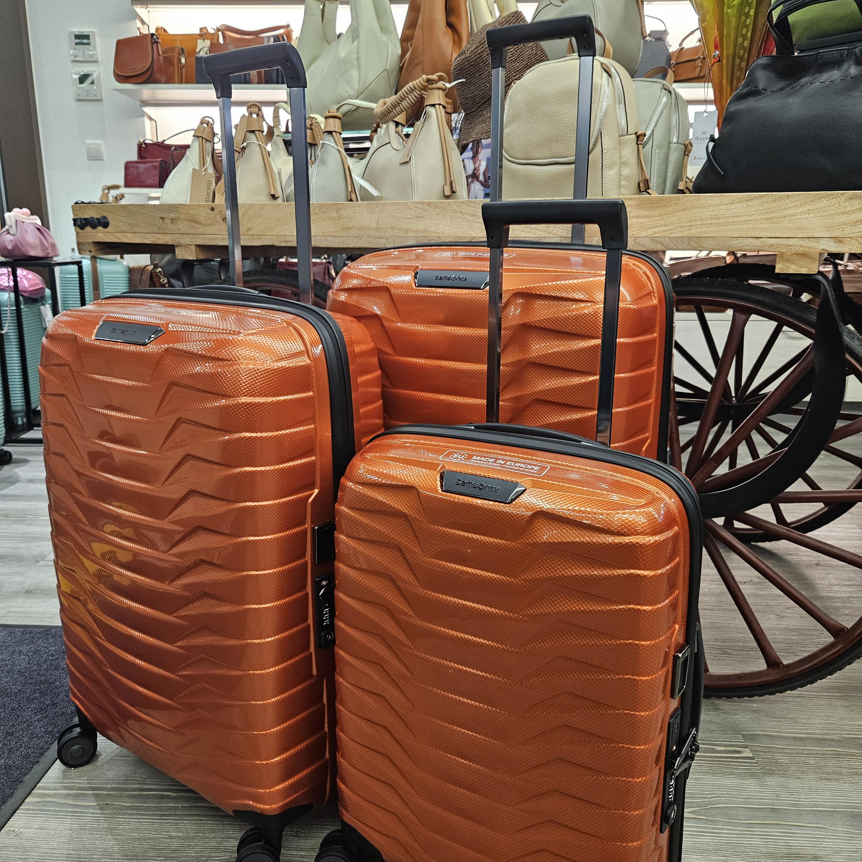 Taschner#NEW#Taschner#NEW#Taschner